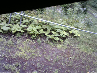 長野県菅平高原 ゆたか山荘 駐車場 2026/07/26 13:00