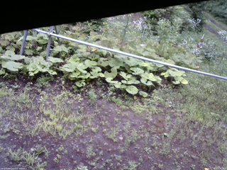 長野県菅平高原 ゆたか山荘 駐車場 2026/07/26 13:30
