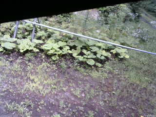 長野県菅平高原 ゆたか山荘 駐車場 2026/07/26 14:00