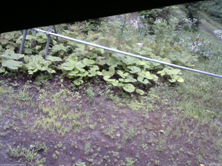 長野県菅平高原 ゆたか山荘 駐車場 2026/07/26 14:45