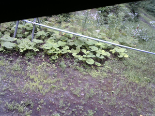 長野県菅平高原 ゆたか山荘 駐車場 2026/07/26 15:00