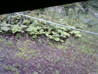 長野県菅平高原 ゆたか山荘 駐車場 2026/07/26 15:15