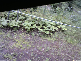 長野県菅平高原 ゆたか山荘 駐車場 2026/07/26 15:45