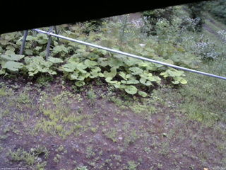 長野県菅平高原 ゆたか山荘 駐車場 2026/07/26 16:15