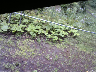 長野県菅平高原 ゆたか山荘 駐車場 2026/07/26 16:30