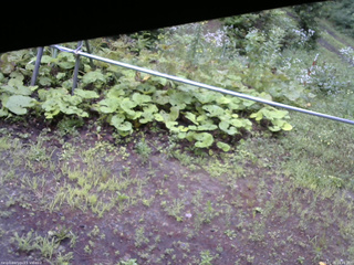 長野県菅平高原 ゆたか山荘 駐車場 2026/07/26 16:45