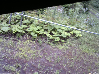 長野県菅平高原 ゆたか山荘 駐車場 2026/07/26 17:00