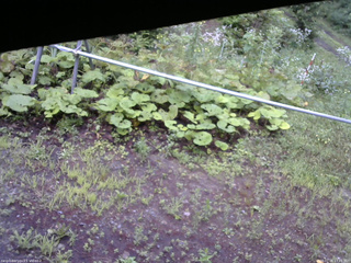 長野県菅平高原 ゆたか山荘 駐車場 2026/07/26 17:45