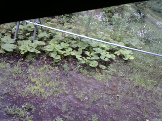 長野県菅平高原 ゆたか山荘 駐車場 2026/07/26 18:45