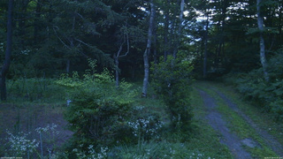 長野県菅平高原 ゆたか山荘 坂上 2026/07/26 05:00