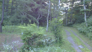 長野県菅平高原 ゆたか山荘 坂上 2026/07/26 05:15