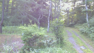 長野県菅平高原 ゆたか山荘 坂上 2026/07/26 06:00