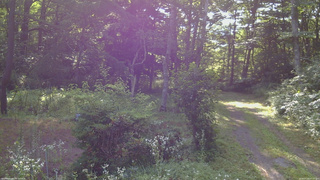 長野県菅平高原 ゆたか山荘 坂上 2026/07/26 07:15
