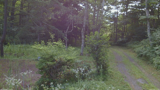 長野県菅平高原 ゆたか山荘 坂上 2026/07/26 07:30