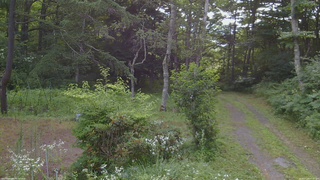 長野県菅平高原 ゆたか山荘 坂上 2026/07/26 07:45