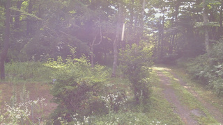 長野県菅平高原 ゆたか山荘 坂上 2026/07/26 08:00
