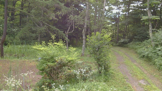 長野県菅平高原 ゆたか山荘 坂上 2026/07/26 08:15