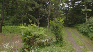 長野県菅平高原 ゆたか山荘 坂上 2026/07/26 08:30