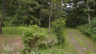長野県菅平高原 ゆたか山荘 坂上 2026/07/26 08:45