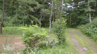 長野県菅平高原 ゆたか山荘 坂上 2026/07/26 09:00