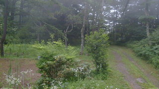 長野県菅平高原 ゆたか山荘 坂上 2026/07/26 09:15