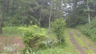 長野県菅平高原 ゆたか山荘 坂上 2026/07/26 09:30