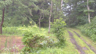 長野県菅平高原 ゆたか山荘 坂上 2026/07/26 09:45