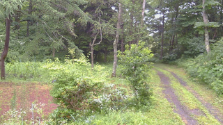 長野県菅平高原 ゆたか山荘 坂上 2026/07/26 10:00