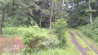 長野県菅平高原 ゆたか山荘 坂上 2026/07/26 10:15