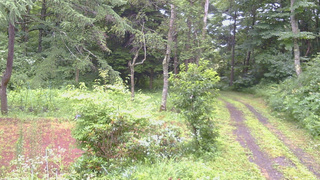 長野県菅平高原 ゆたか山荘 坂上 2026/07/26 10:30