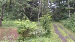 長野県菅平高原 ゆたか山荘 坂上 2026/07/26 10:45
