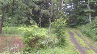 長野県菅平高原 ゆたか山荘 坂上 2026/07/26 11:00