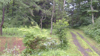 長野県菅平高原 ゆたか山荘 坂上 2026/07/26 11:15