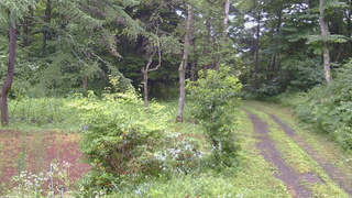 長野県菅平高原 ゆたか山荘 坂上 2026/07/26 11:30