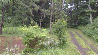 長野県菅平高原 ゆたか山荘 坂上 2026/07/26 11:45