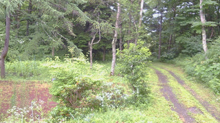 長野県菅平高原 ゆたか山荘 坂上 2026/07/26 12:15