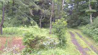 長野県菅平高原 ゆたか山荘 坂上 2026/07/26 12:30