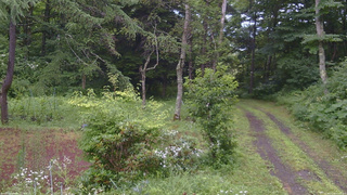 長野県菅平高原 ゆたか山荘 坂上 2026/07/26 12:45