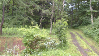 長野県菅平高原 ゆたか山荘 坂上 2026/07/26 13:00