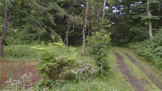 長野県菅平高原 ゆたか山荘 坂上 2026/07/26 13:15