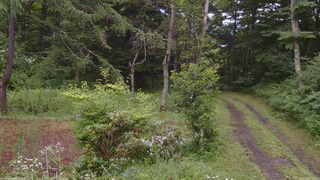 長野県菅平高原 ゆたか山荘 坂上 2026/07/26 13:30