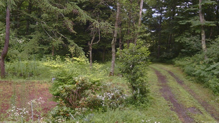 長野県菅平高原 ゆたか山荘 坂上 2026/07/26 13:45