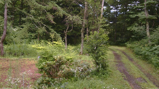長野県菅平高原 ゆたか山荘 坂上 2026/07/26 14:00