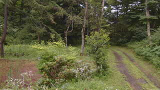 長野県菅平高原 ゆたか山荘 坂上 2026/07/26 14:15