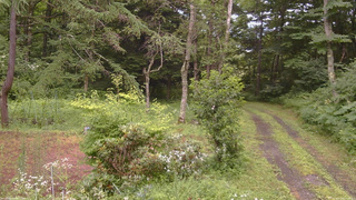 長野県菅平高原 ゆたか山荘 坂上 2026/07/26 14:30