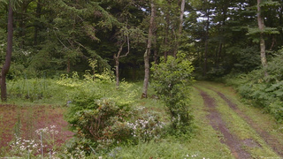 長野県菅平高原 ゆたか山荘 坂上 2026/07/26 14:45