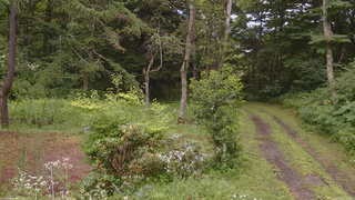 長野県菅平高原 ゆたか山荘 坂上 2026/07/26 15:00