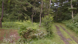 長野県菅平高原 ゆたか山荘 坂上 2026/07/26 15:15