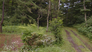 長野県菅平高原 ゆたか山荘 坂上 2026/07/26 15:30