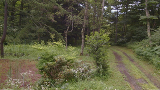 長野県菅平高原 ゆたか山荘 坂上 2026/07/26 15:45
